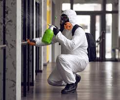 Mold Odor Removal Services in Two Rivers, WI